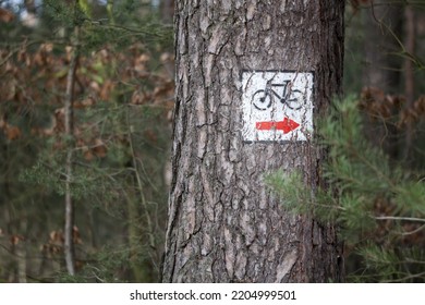 Red Bike Trail Sign On A Tree.