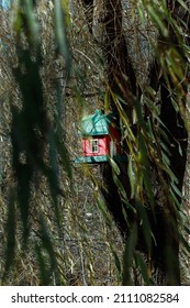 Red Bird House Behind The Leaves Of A Willow Tree