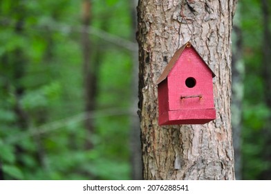 Red Bird House In Forest