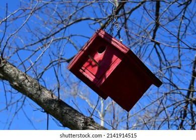 Red Birdhouse In A Bare Tree