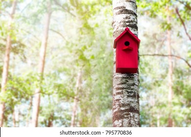 The red birdhouse on a tree in spring forest