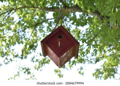 Red Birdhouse In A Tree