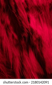red and black feathers owl background or textura