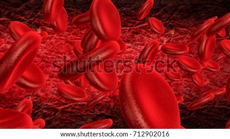 Red blood cells in an artery. Loop.