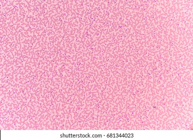 Red Blood Cells White Blood Cells Stock Photo 681344023 | Shutterstock