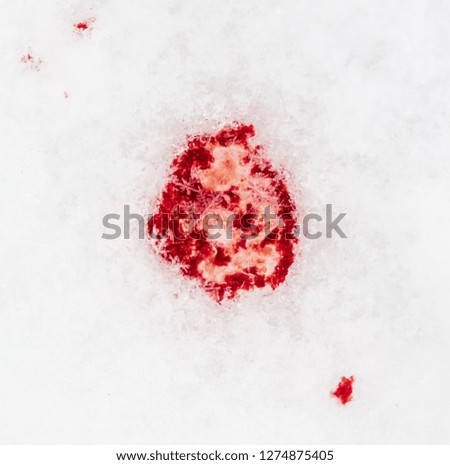 Red Blood On White Snow Background Stock Photo Edit Now - 