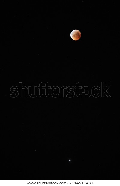 Red bloody moon on black sky as background, full\
moon and stars