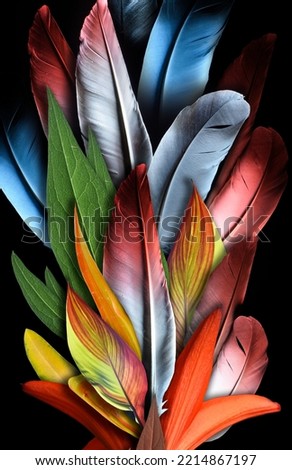 Similar – Image, Stock Photo tulip leaves Leaf Faded