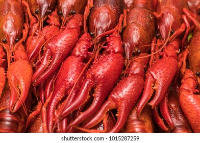 Red boiled crayfish