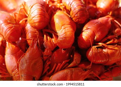 Red boiled crayfish close up. Low depth of field, focus on the middle of the frame. A delicacy. Appetizer for beer. Background, wallpaper.