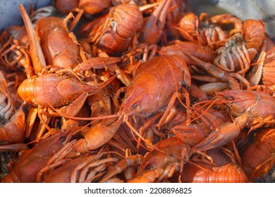 Red Boiled Crayfish. Top View