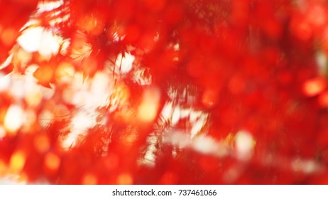 Red bokeh background