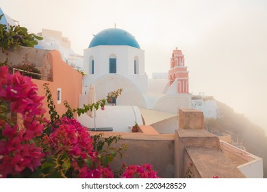 Red bougainvillea flowers on a foggy, misty morning during golden hour sunrise at the traditional blue dome Greek Orthodox Church of Agios Nikolaos in the village of Oia, on the Greek Island Santorini