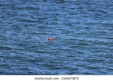 A Red Bouy Floating In The Blue Ocean.