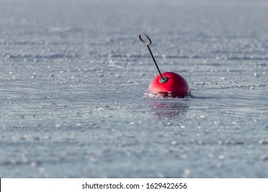 A Red Bouy Frozen Stuck Into The Ice