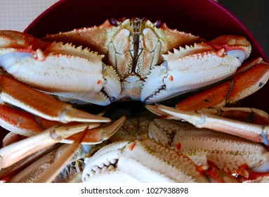 587 Pacific northwest crab Images, Stock Photos & Vectors | Shutterstock