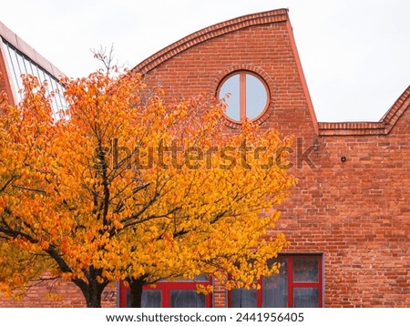 Similar – Image, Stock Photo red-leaf Sky Autumn Tree
