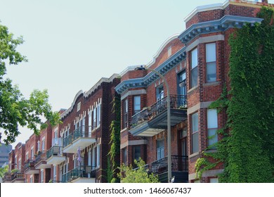 Red brick houses with green vines in expensiv Outremont neighborhood in Montreal city center.