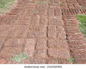 Red Brick Path In The Garden