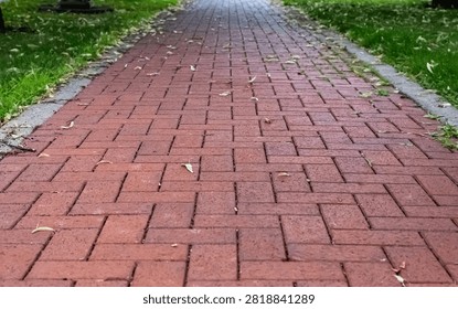 Red brick path or sidewalk stretching forward through a green park lawn with fallen leaves. absract journey or landscape background