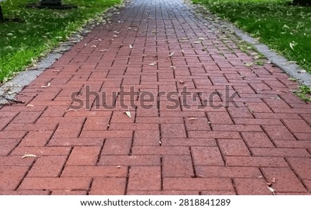 Red brick path or sidewalk stretching forward through a green park lawn with fallen leaves. absract journey or landscape background