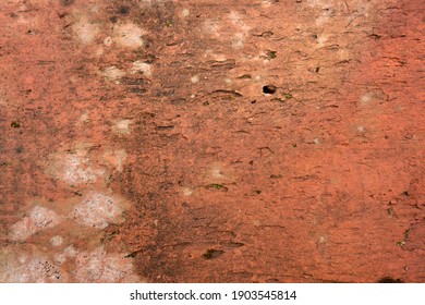 Red Brick Texture With Losses