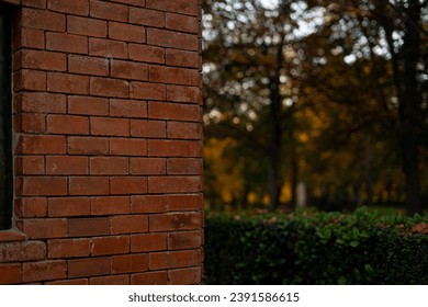 Red brick wall corner of small building outpost in Retiro Park in Madrid, Spain with dark green painted window frame glass reflecting famous statues structure in background green hedges trees autumn - Powered by Shutterstock