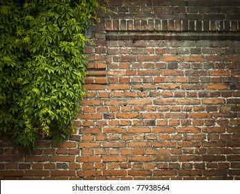 Red Brick Wall With Green Ivy Background