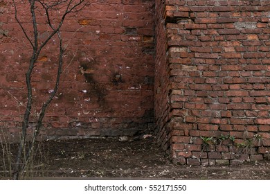red brick wall and a tree
