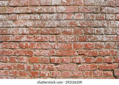 Red Brick/ Worn White Washed Wall (background Or Wallpaper)