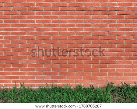 Similar – Image, Stock Photo There’s a little plant sitting on the wall, waiting.