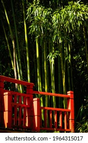 Red Bridge And Bamboo, Japanese Garden Detail