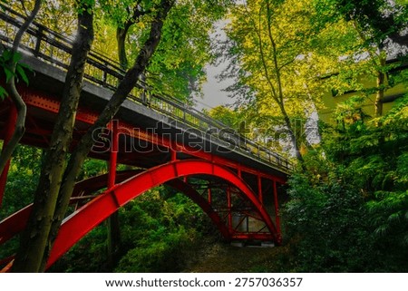 A red bridge spanning a forest