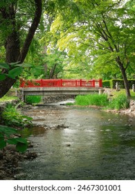 Red bridge surrounded by trees