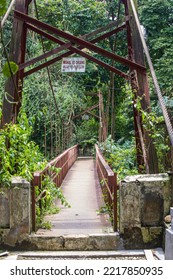 Red Bridge, A Suspension Bridge In The Bogor Botanical Gardens