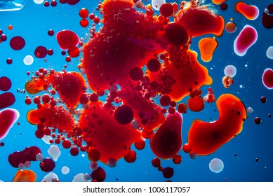 Red Bubbles Blood Cells On Blue Stock Photo 1006116988 | Shutterstock