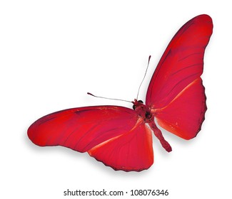 Red Butterfly Flying Isolated On White