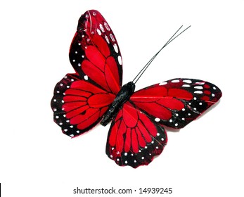 A Red Butterfly Isolated On White