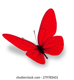 Red Butterfly Isolated On White Background