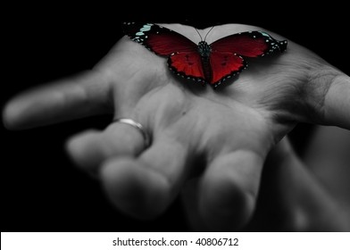 Red Butterfly On Human's Hand