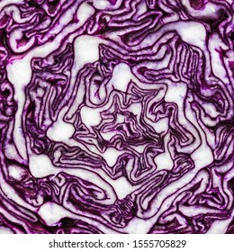 Red Cabbage Background. Abstract Pattern Of Cross Section. Top View