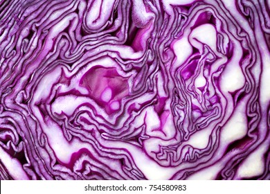 Red cabbage close-up. The texture of the cut cabbage. - Powered by Shutterstock