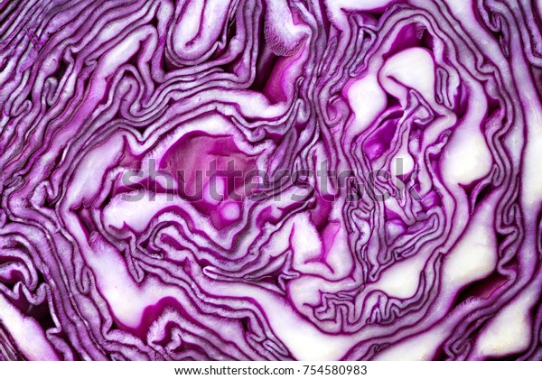 Red\
cabbage close-up. The texture of the cut\
cabbage.