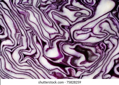 Red cabbage slice close-up Abstract organic texture background Brassica oleracea var. capitata f. rubra
