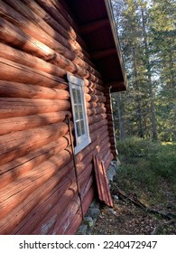 Red cabin in the forest