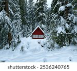 Red Cabin in Snowy Woods, Holiday Winter Getaway in the Forest