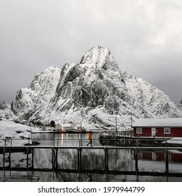 Red Cabins On A Snowy Reine In Moskenesøya Island, Norway