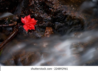 Red Canadian Maple Leaf With Waterfall