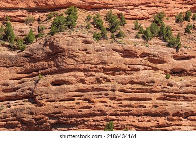 red canyon texture. stone background 