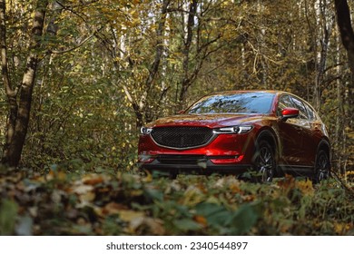 Red car. Detailed photo. Headlights, wheels, parts. Family car. City car. New car. In forest. 